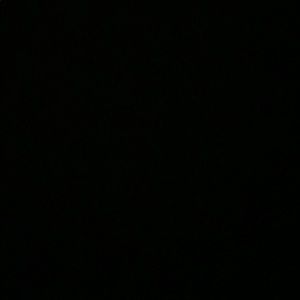 Meet your Posher, Luis